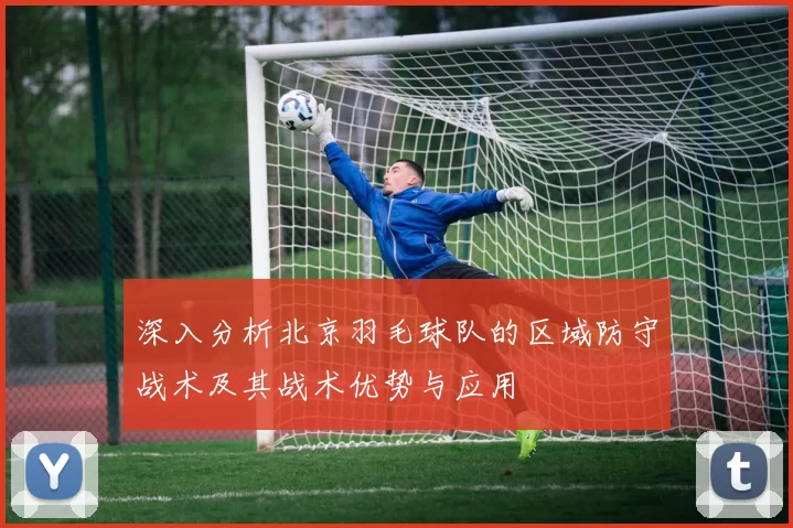 深入分析北京羽毛球队的区域防守战术及其战术优势与应用