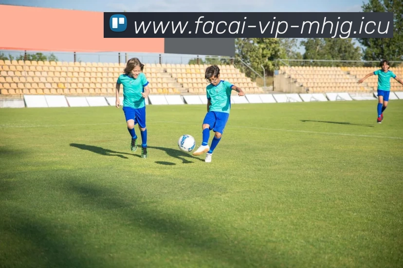 爱游戏体育注册品牌故事