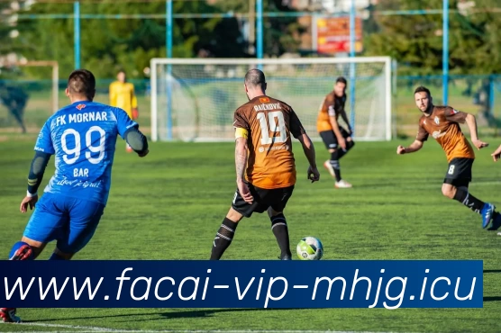 爱游戏体育注册服务体系